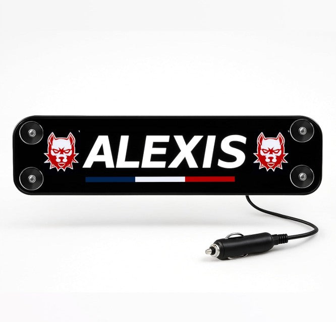 Plaque lumineuse personnalisée pour camion  Prénom et logo