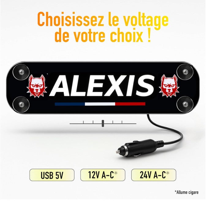 Plaque lumineuse personnalisée pour camion  Prénom et logo